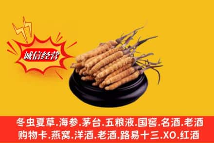 无棣县名酒回收冬虫夏草.jpg
